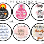 You Are The Bomb Bath Bomb Gift Free Printable Tags