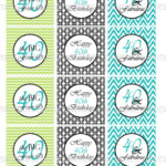 40th Birthday Turquoise And Lime Chevron Printable Cupcake Toppers