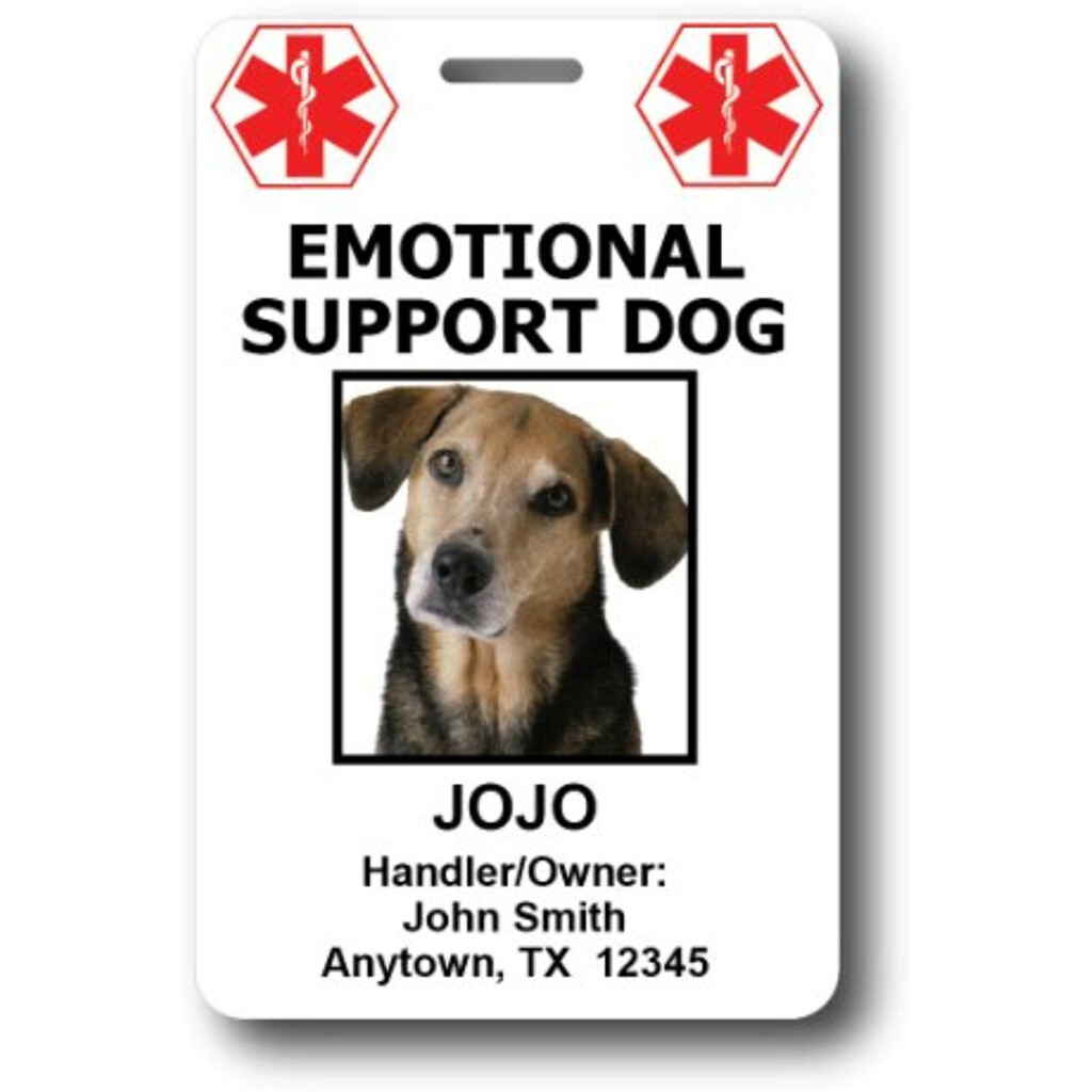 Custom Emotional Support Dog ID Cards 2 Credit Card Sized ID Cards 