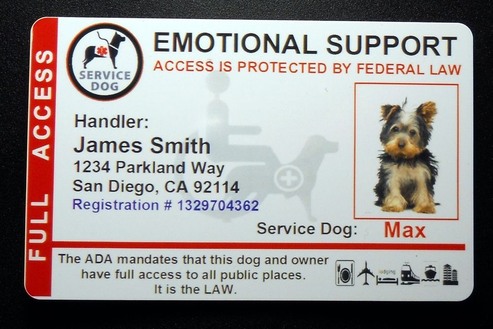 Pin On ESA Emotional Support Animal