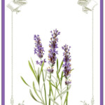Free Printable Lavender Labels And Stickers Lavender Graphics Fairy