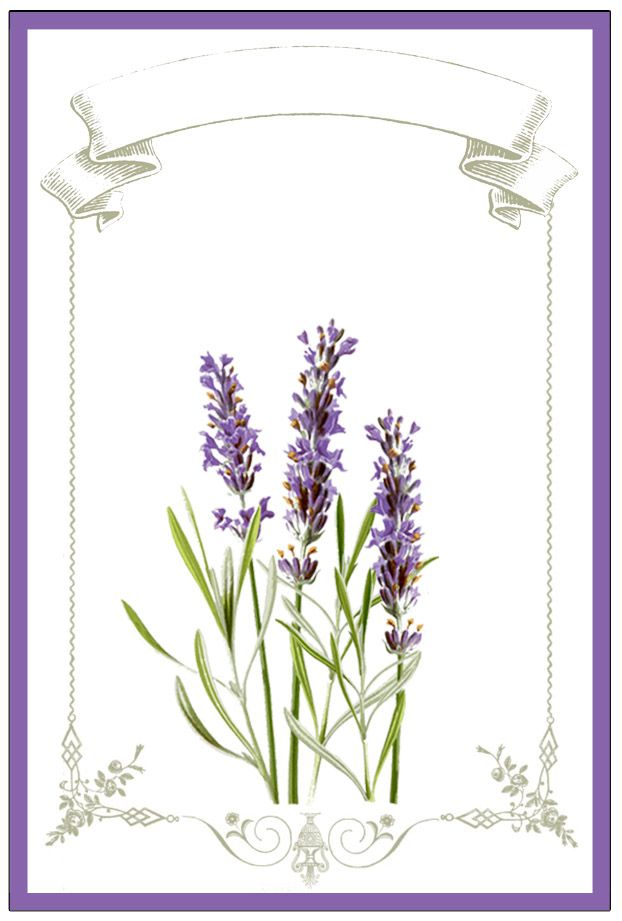 Free Printable Lavender Labels And Stickers Lavender Graphics Fairy 