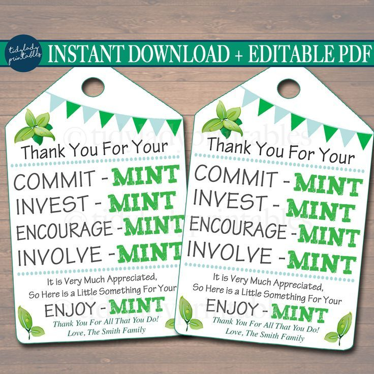 Printable Thank You Tags Volunteer Mint Labels Printable INSTANT 