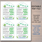 Printable Thank You Tags Volunteer Mint Labels Printable INSTANT