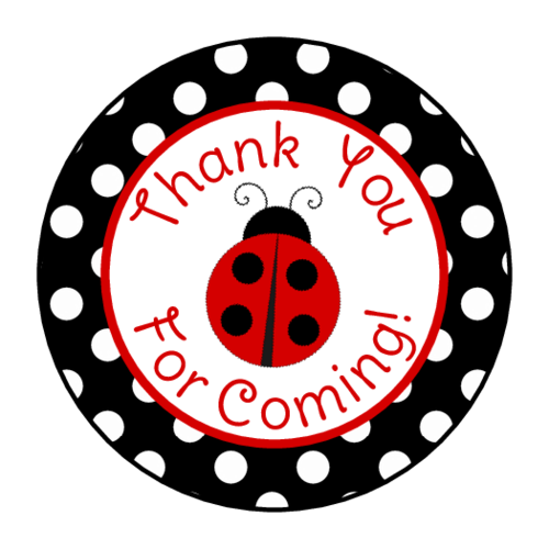 Add The Finishing Touch To Your Party Favors With These Ladybug themed